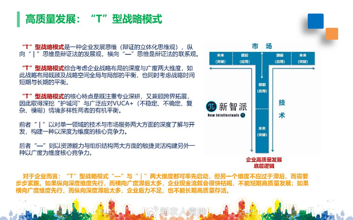 发挥新质生产力技术企业和项目对地方区域经济高质量发展的作用