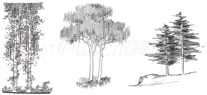 树的手绘画法