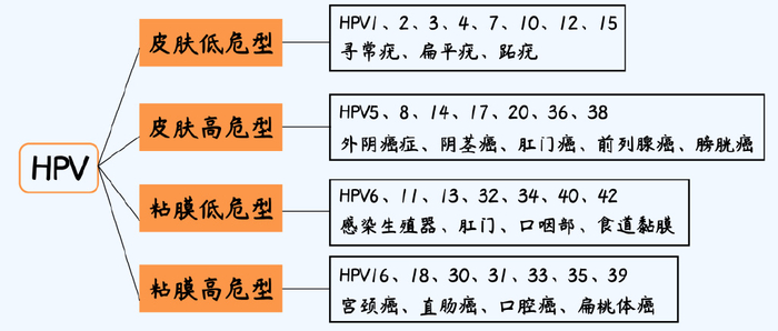 千万别抠!|扁平疣|皮赘|丝状疣_新浪新闻