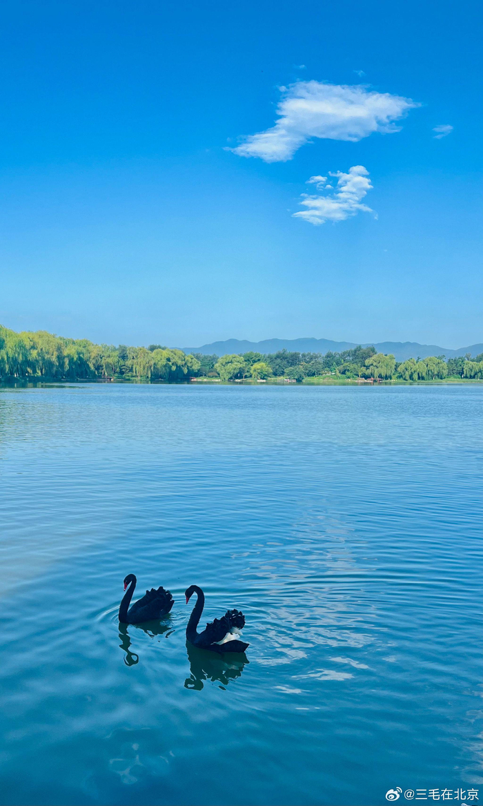 北京 圆明园 福海 天鹅湖美景 摄影