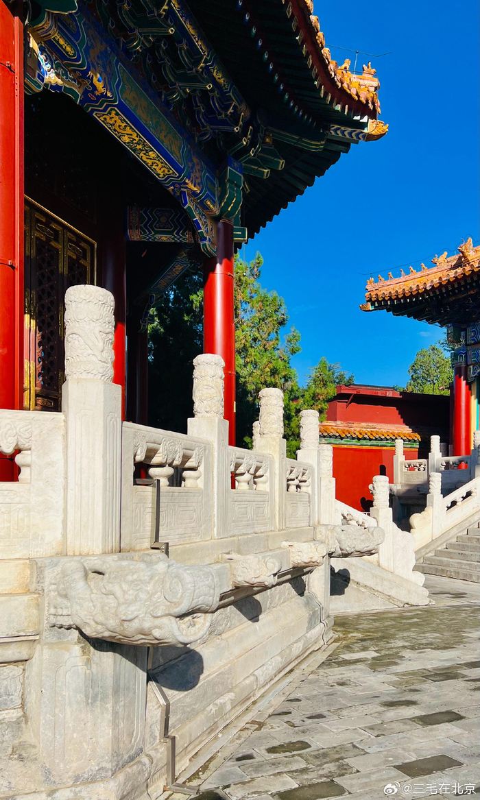 北京市景山公园 寿皇殿秋色美 摄影