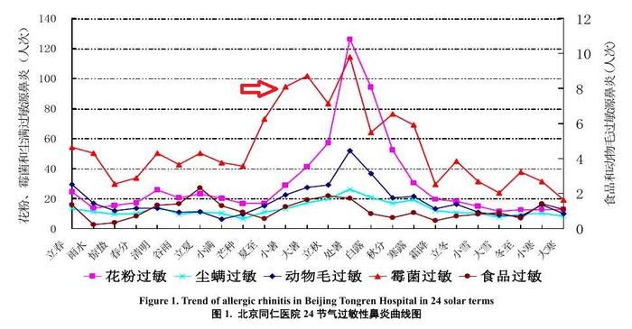 霉菌还是重要的过敏原,能形成网状的菌丝体,产生大量孢子.