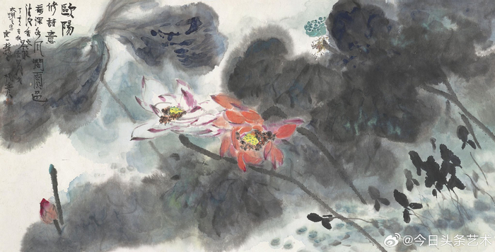 画家杨彦笔下的荷花