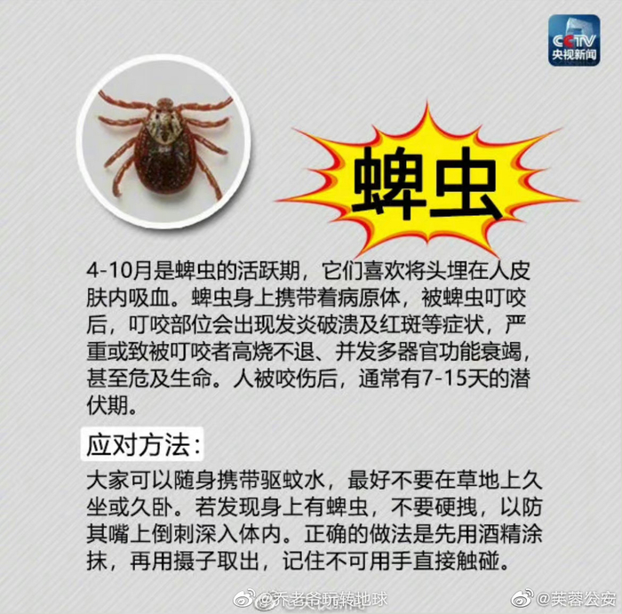 安全指南|危险的蜱虫,恙虫一定要警惕!