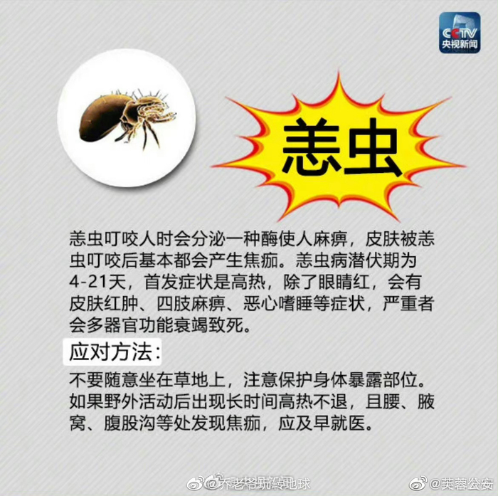 安全指南|危险的蜱虫,恙虫一定要警惕!