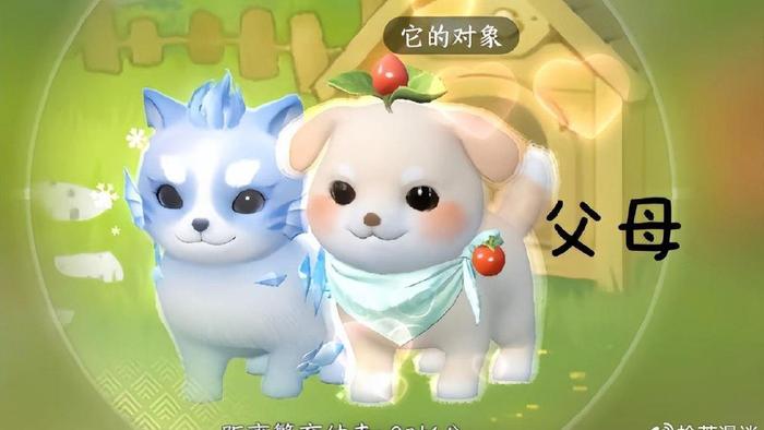 谁说00后当父母躺平不“鸡娃”了？他们已经焦虑到睡不着觉了