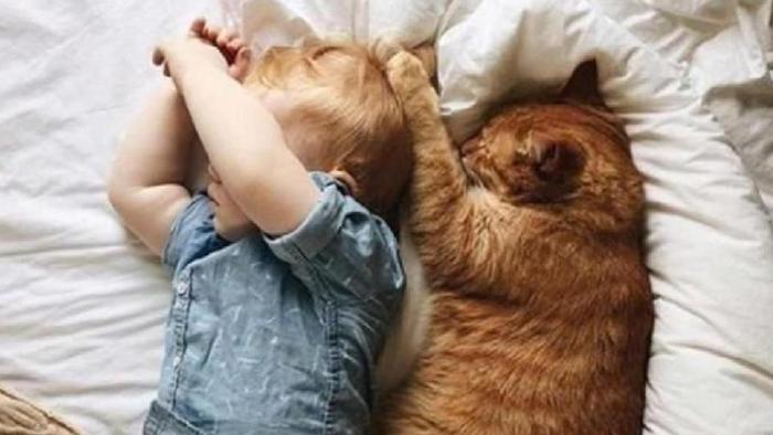 “妈妈，小猫好可爱啊！”父母4种不同的应答，孩子4种不同的人生