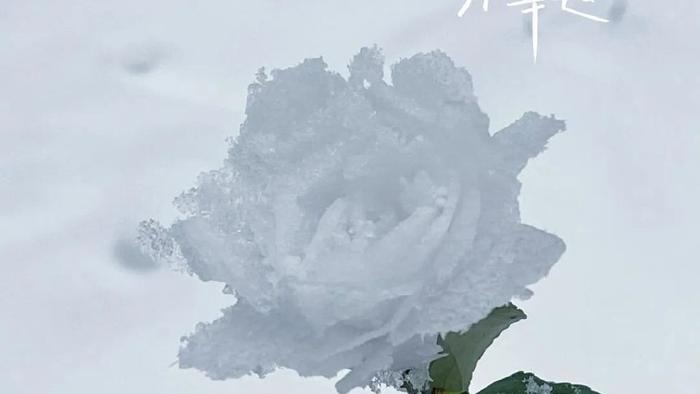 早上这样发圈，暖心又励志，没人舍得屏蔽你