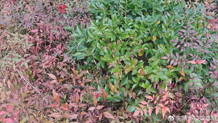 少和孩子生气吧，看完瞬间醒悟（深度好文，别等老了才懂）