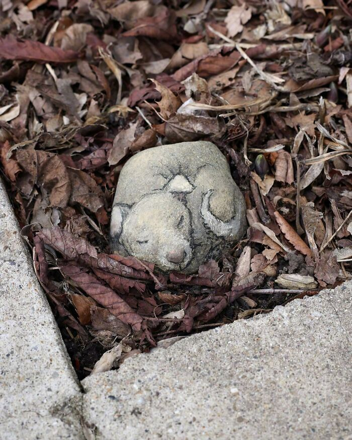 艺术家 david zinn 街头涂鸦作品 | zinnart.com