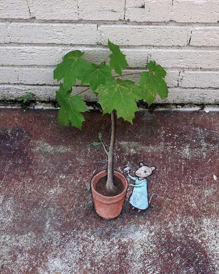 艺术家 david zinn 街头涂鸦作品 | zinnart.com