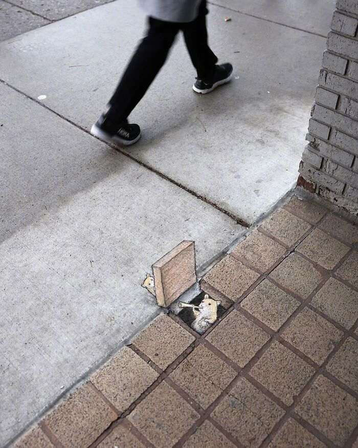艺术家 david zinn 街头涂鸦作品 | zinnart.com