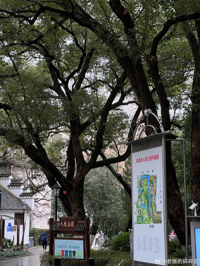 行走南昌人民公园据说是南昌人小时候记忆都在这