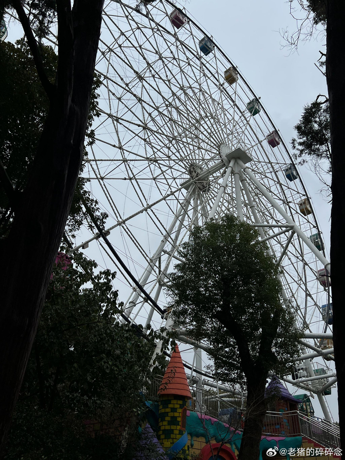 行走南昌人民公园据说是南昌人小时候记忆都在这