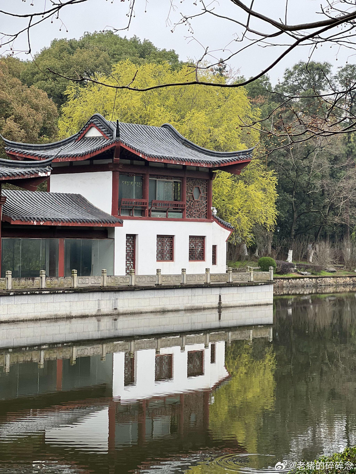 行走南昌人民公园据说是南昌人小时候记忆都在这