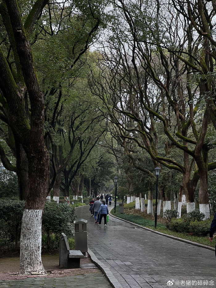 行走南昌人民公园据说是南昌人小时候记忆都在这