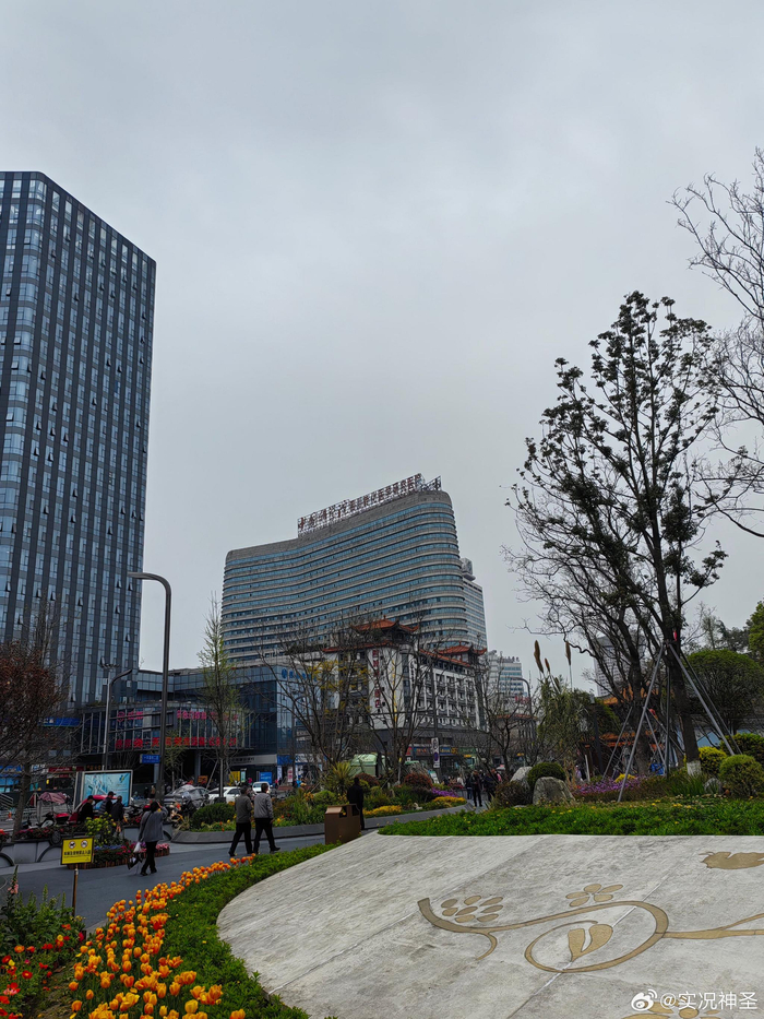 分享成都青羊区的春天美景|青羊区|美景|成都_新浪新闻