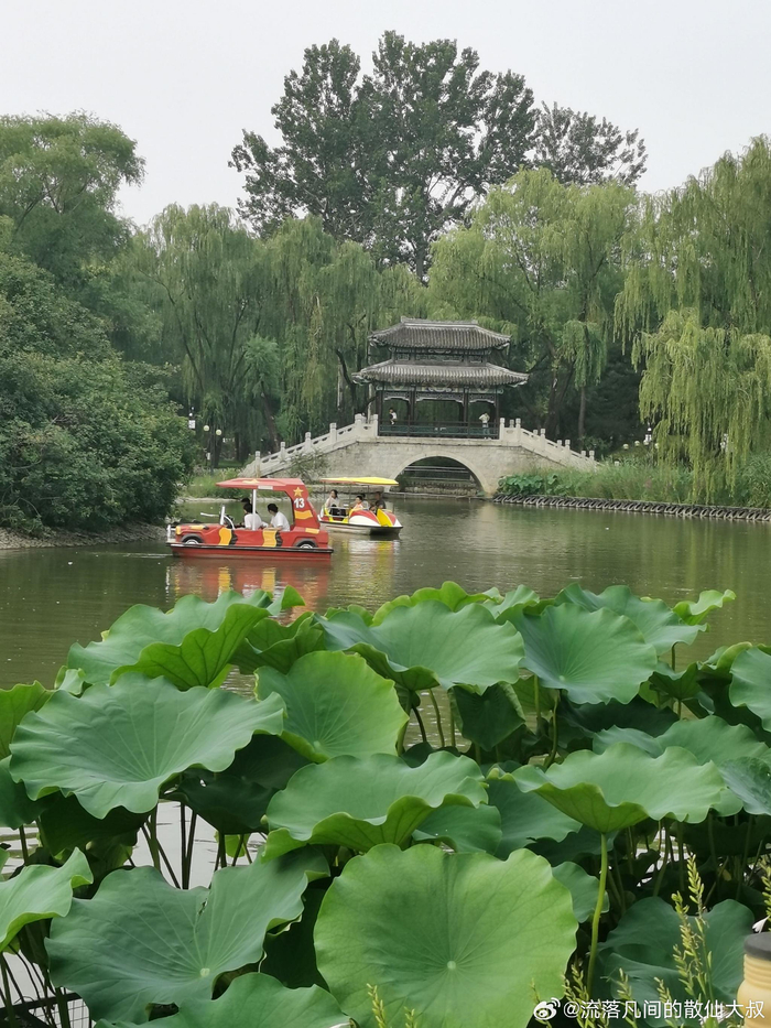 北京顺义公园的夏日 摄影__财经头条