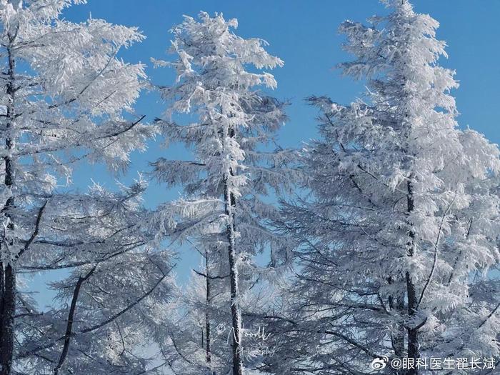 這就是北國風光千里冰封萬里雪飄吧