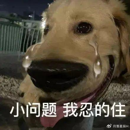 狗子睡着突然狂叫,四肢僵硬表情扭曲,一顿检查后