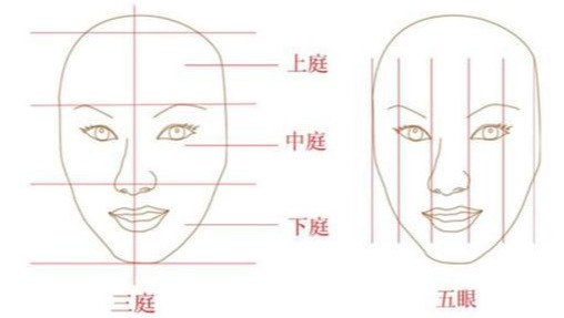 为什么五官好看却显丑?深度解析“面部气质”,你的长相独一无二