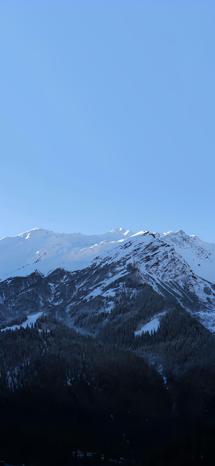 蓝色系323032333635背景图