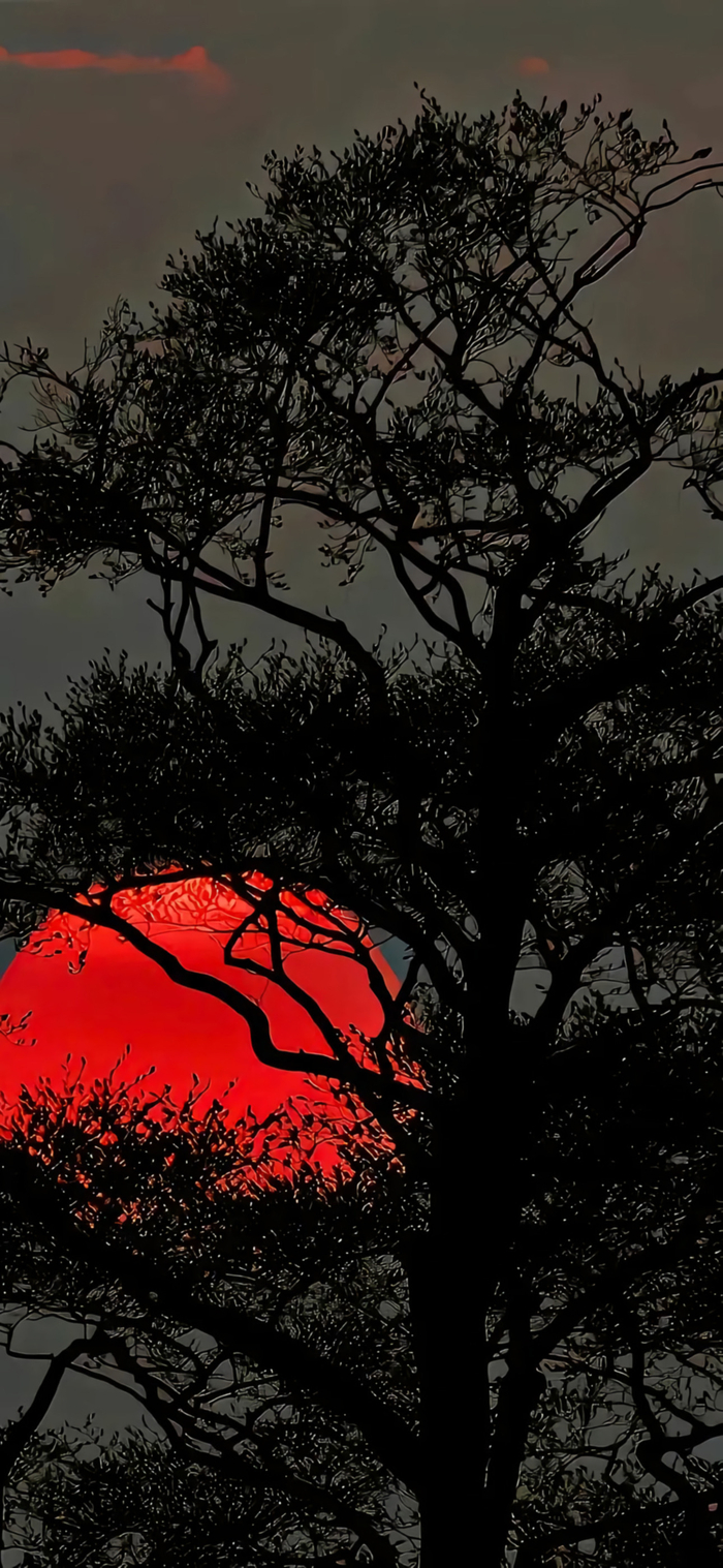 你心心念念的黑色锁屏壁纸