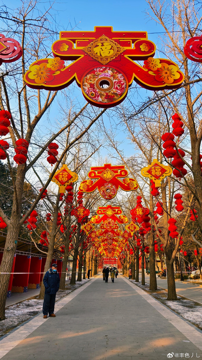 北京地坛有年味儿了 摄影