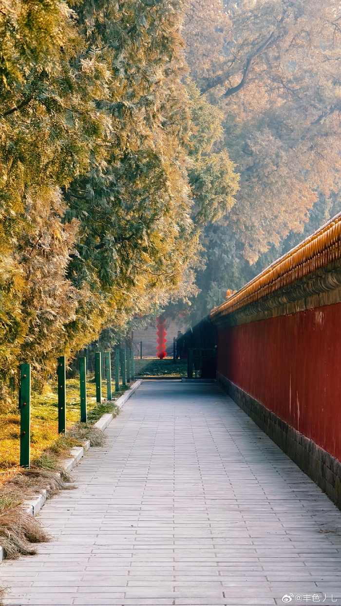 北京地坛有年味儿了 摄影