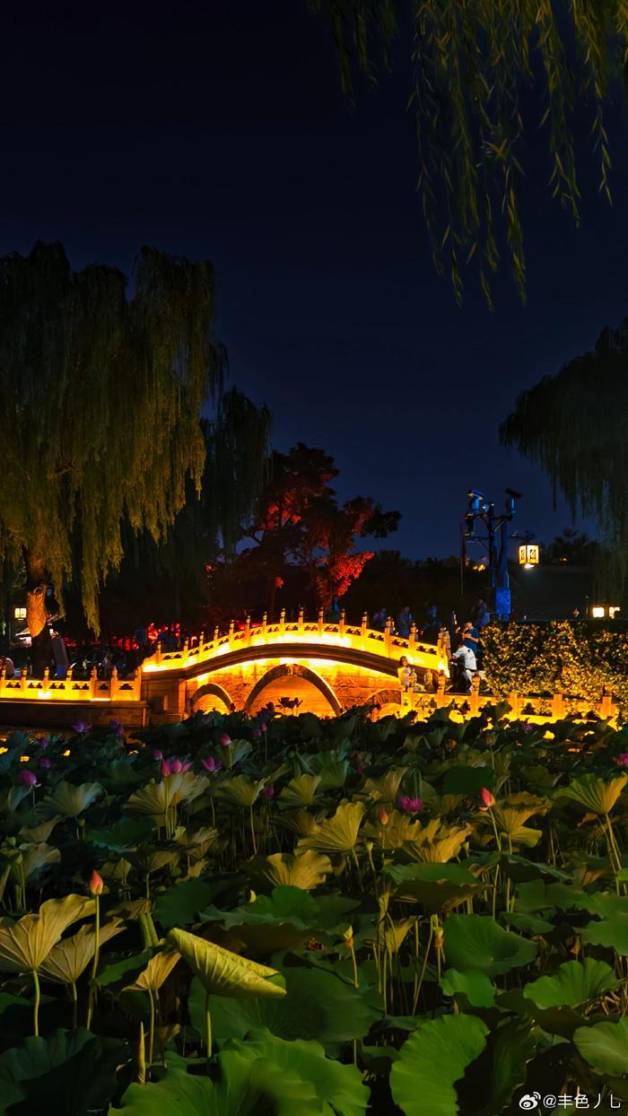 北京什刹海夜景图片