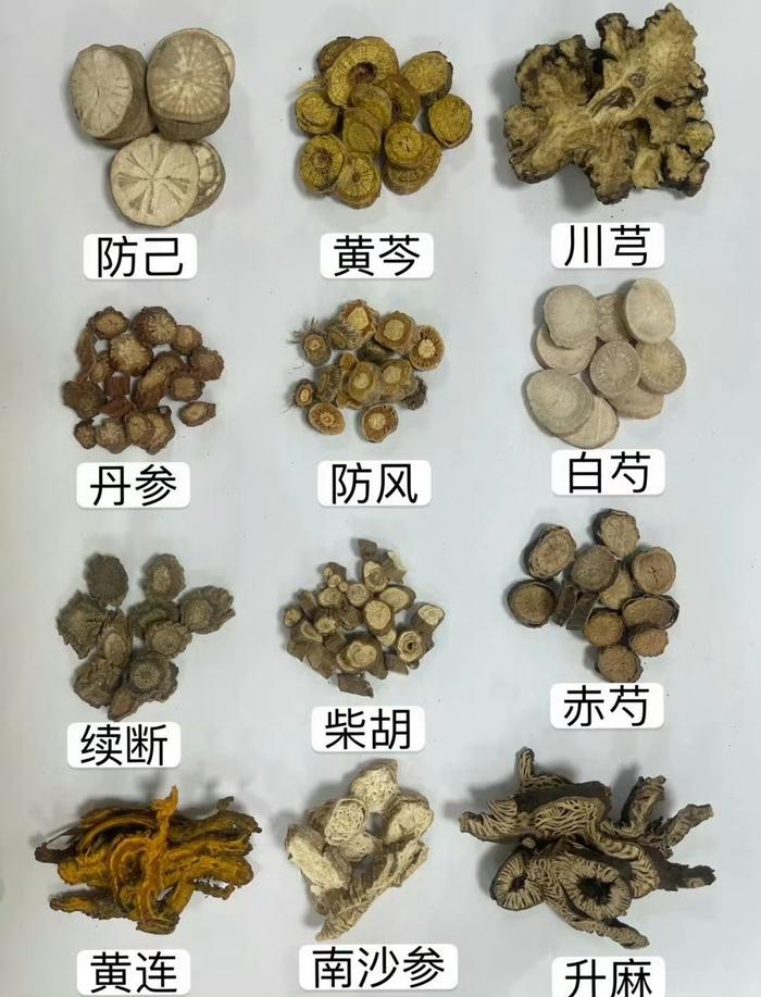 草药名字大全名称图片