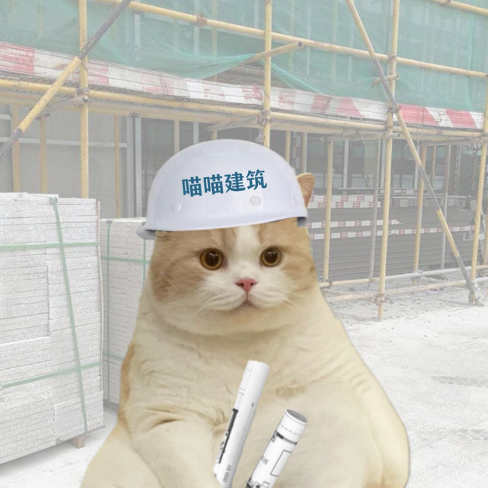 猫猫头像(职业版)