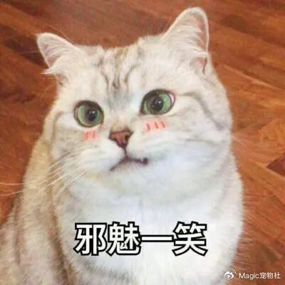 幸福的小猫太多了,奈何抢来的猫窝又太小,即便能进去,也甭想出来