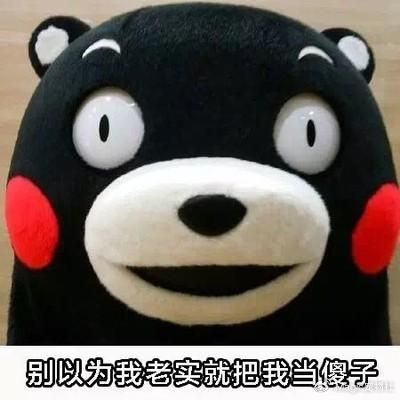猫咪啃电线被电晕,醒来后变身聪明喵,主人:打通了任督二脉?