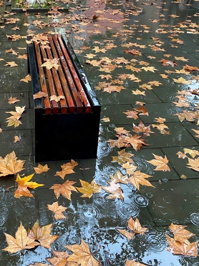 立秋后的雨