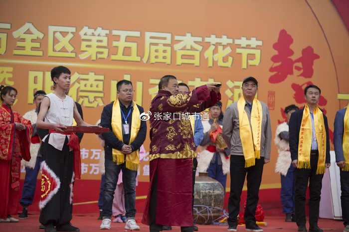 这么近,那么美,张家口万全区第五届"杏花节"喊你来赏花喽!