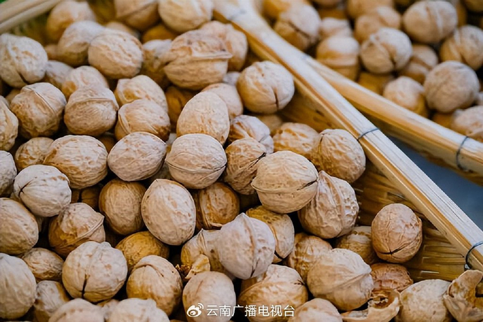 核桃不止是"庄稼",更是不可多得的美味,大姚核桃壳薄,肉白,含脂量低