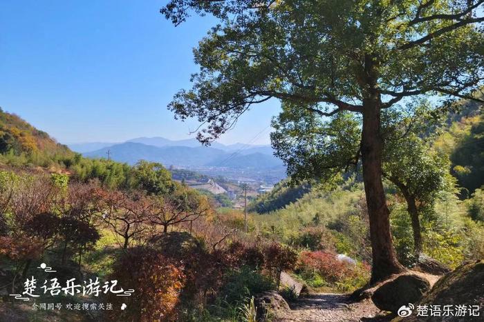 竟藏著古道和古寺,人文深厚景色宜人|雪竇山|古道|茗山_新浪新聞