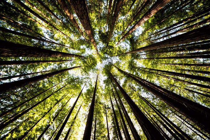 创投的新十年,红杉给出了第一个答案__财经头条