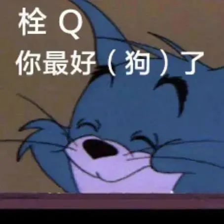 表情包乐园,让你的聊天更精彩!