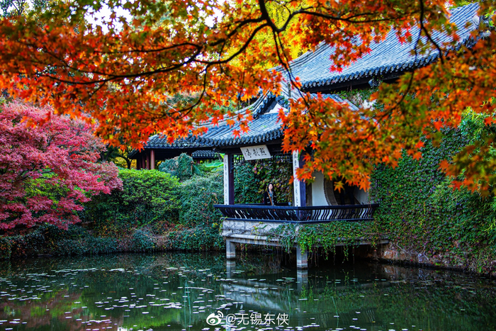 21岁向鹏4-0暴击韩国一哥 中国乒乓新王炸诞生