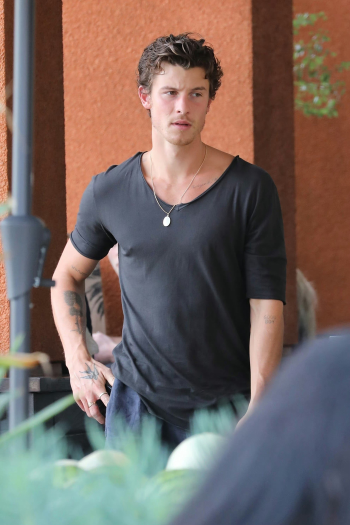 在洛杉矶定居的萌德shawnmendes