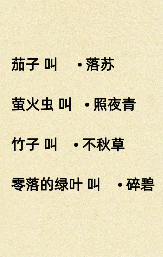 古老智慧与现代科技的碰撞作文
