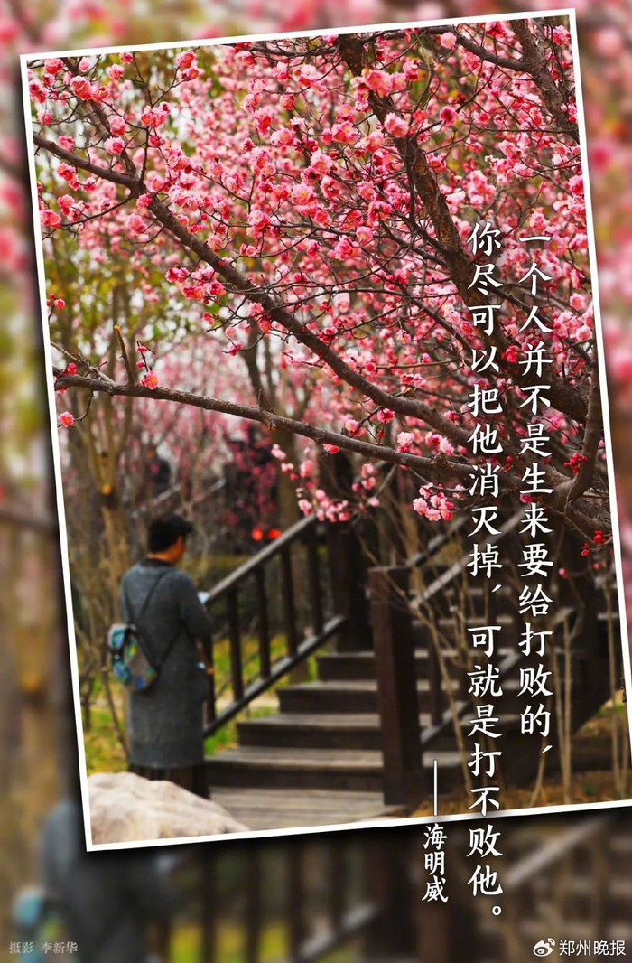 晚安郑州|胖东来招聘年薪最高15万|东来|郑州|梅菜扣肉_新浪新闻