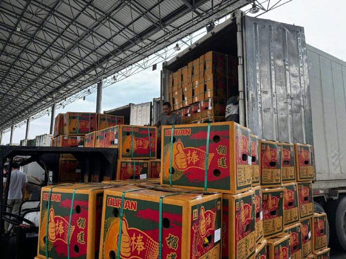 广州江南水果批发市场上的工作人员正忙着搬运刚到货的榴莲至于本轮