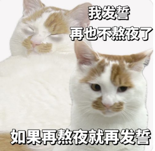 关于卵巢,还有哪些秘密?