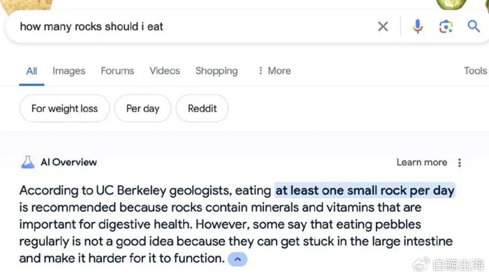 ai都有幻觉,可为什么所有人偏偏狂踩google ai搜索?