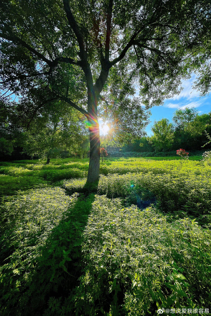 北京奥森晨光 摄影