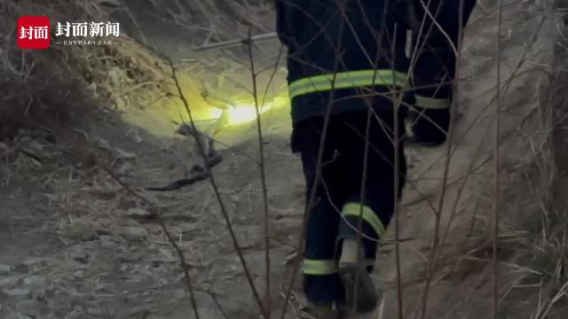 拍客慎点消防员化身捕蛇达人2个半小时抓3条眼镜王蛇