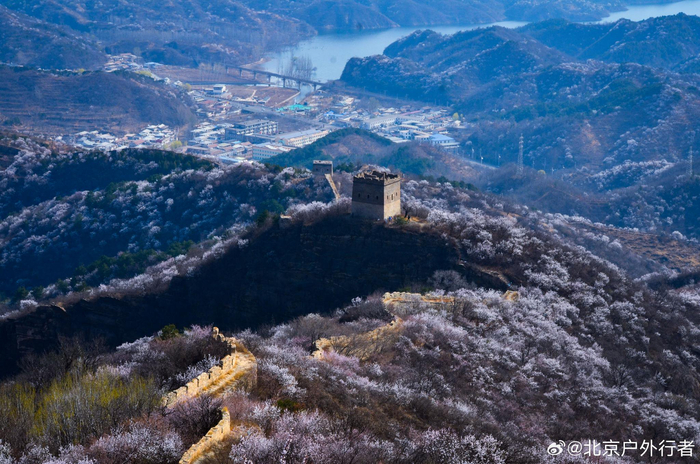 密云水库花海与长城